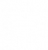 Pugstorm Logo